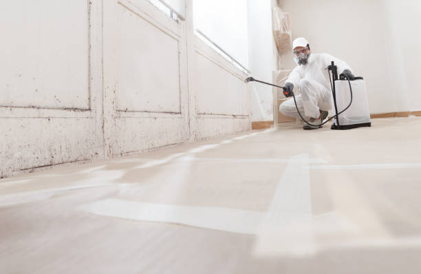 24/7 Emergency Mold Cleanup experts in Bloomington, MD
