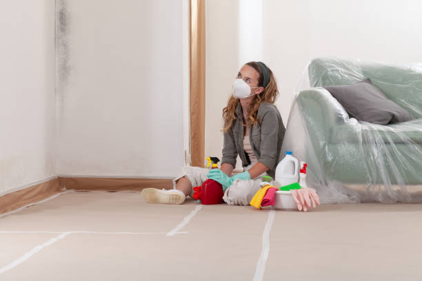 Reliable Mold Cleanup contractor in Bloomington, MD by WQB Mold Removal